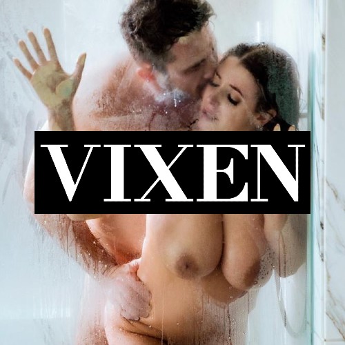 Vixen Group porn review